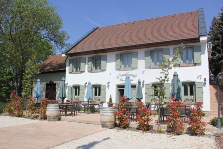 NeidhardtVendeghaz-Bóly