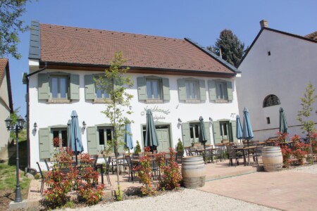 NeidhardtVendeghaz-Bóly